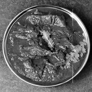 Mutton Mogalai