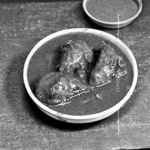 Chicken Dopyaza Curry