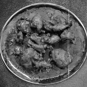 Chicken Fry