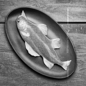 Apollo Fish