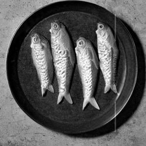 Apollo Fish