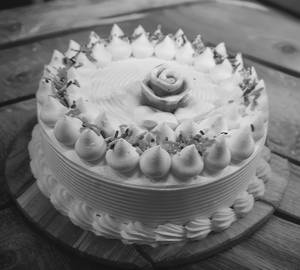 New Vanilla Cake