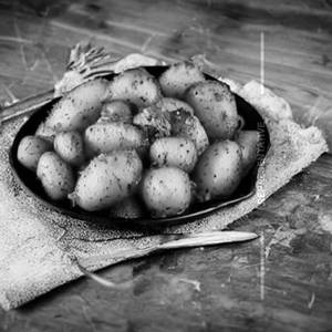 Potato Fry