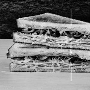 Mushroom Cheese Sandwich