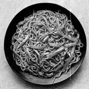 Veg Fayring Noodles