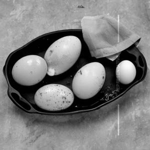 Egg Fry