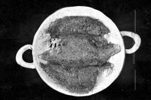 Tawa Fish