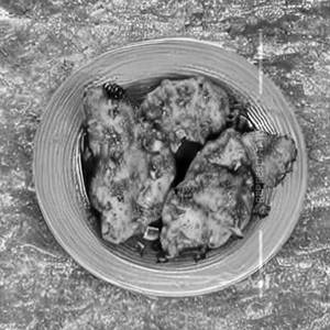 Lemon Chicken