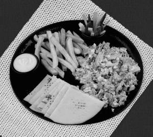 Only Chicken Plate Shawarma