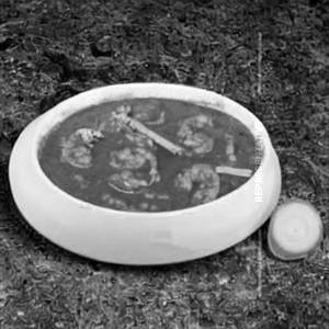 Prawn Masala
