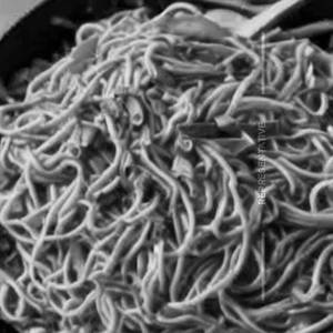Cashive Noodles