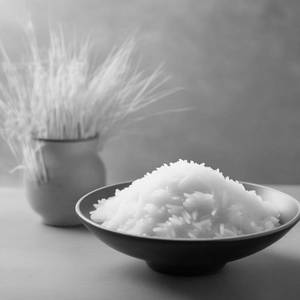 White Rice 500 Ml