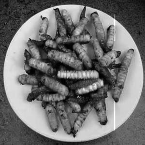 Baby Corn Fry