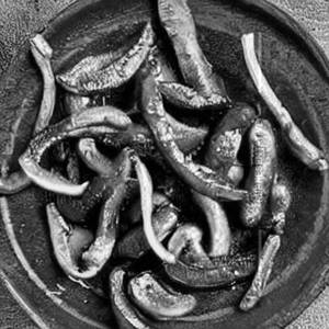 Pepper Mushroom