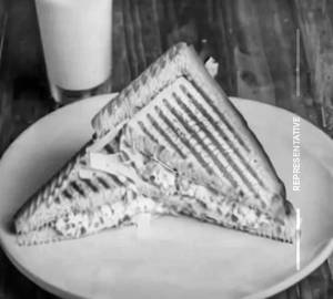 Cheese Paneer Sandwich