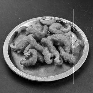 Golden Fried Mushroom