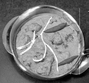 Navratan Kurma