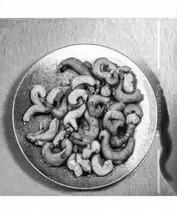 Fried Cashew Nut