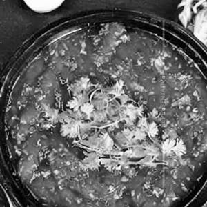 Fish Chilli