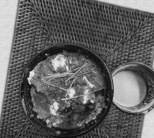 Paneer dhaniya adhrakhi (serves 2)
