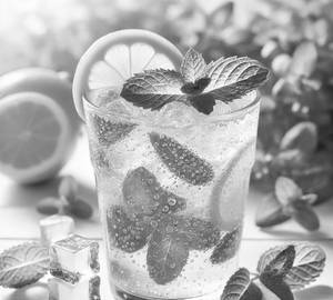 Lemon Mint Fizz