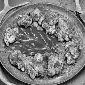 Garlic Chicken Dry