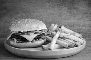 Beef Cheese Burger +French Fries