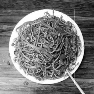 Crispy Noodles