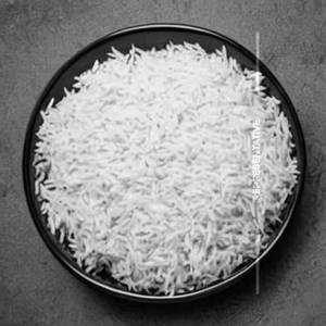Plan rice