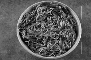 Veg Chilly Garlic Noodle