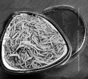 Singapuri Noodles