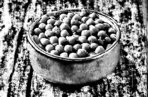 Chana Masala
