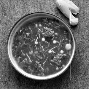 Mutton Soup