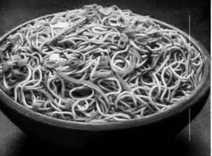 Egg Hakka Noodles