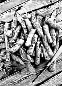 Chilly Baby Corn Dry 