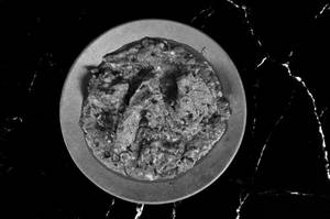 Mutton Darbari