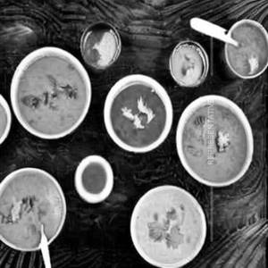 Masala Cooldrinks