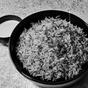 Rice In Spice Special