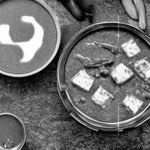 Paneer Gravy