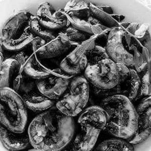 Mushroom Fry