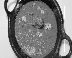 Kaju Korma (Jain)