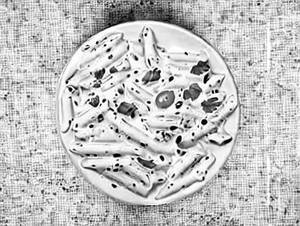 White Sauce Pasta