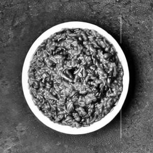 Palak rice