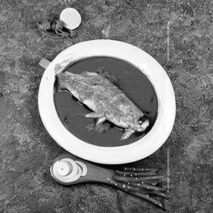 Karivepaku Fish
