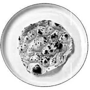 Makka Roti