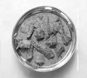 Veg Kolhapuri (Jain)