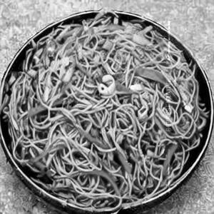 Stair Fry Veg Hakka Noodles