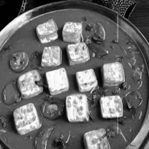 Corn Paneer