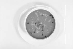 Cream Of Tomato Soup