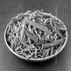 Hakka Veg Nod